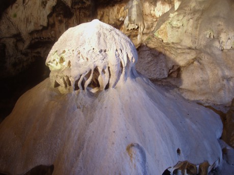 2. Sloupskošošůvská jeskyně 1.jpg