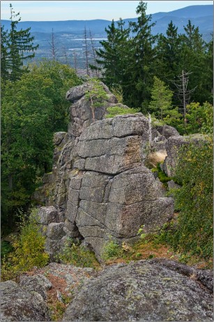 FSC_6421
