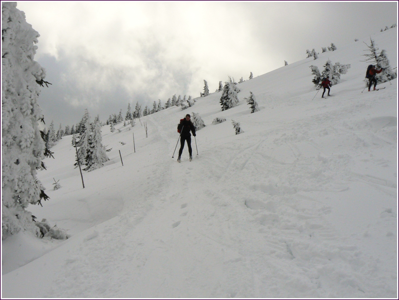  Kamzik Krkonose 14.3 009