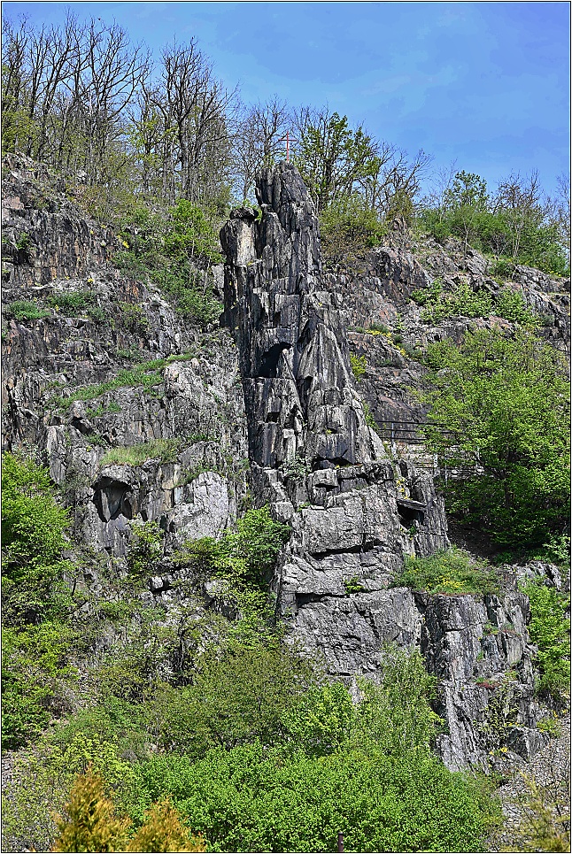 FSC_0353