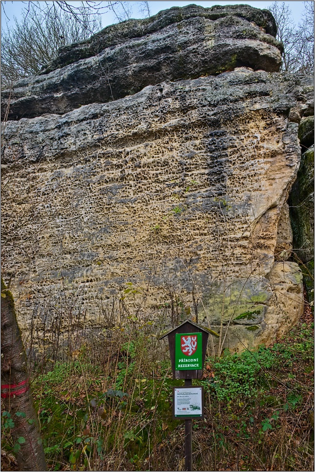 Rakovinova věž_FSC_6621