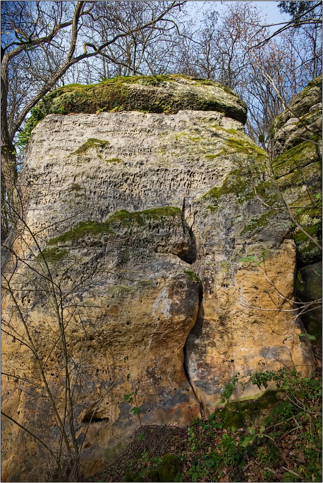 Věž v koutě-Mořská odysea-IV-1K_ FSC_6626