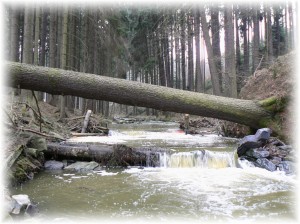 romantika Vavřince